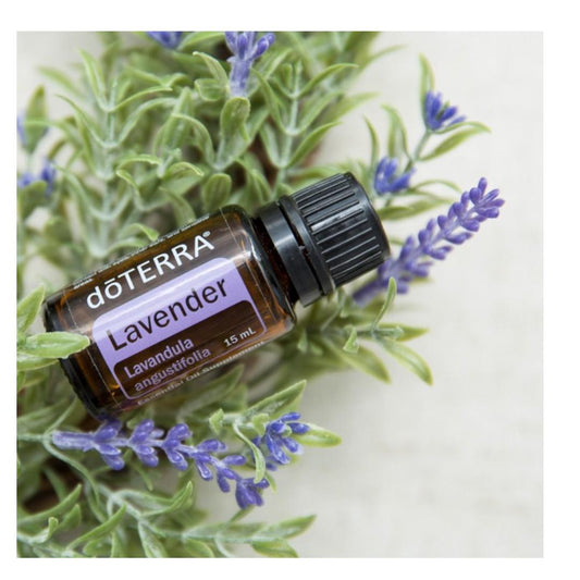 Lavender essential Oil 15ml