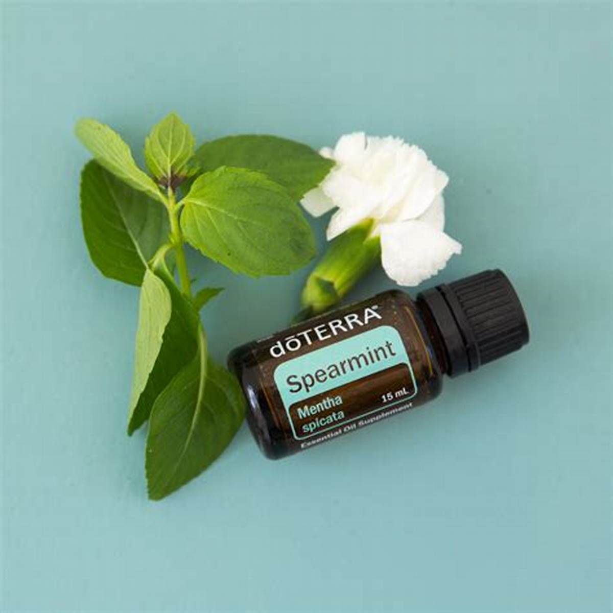 Spearmint 15ml Essential Oil