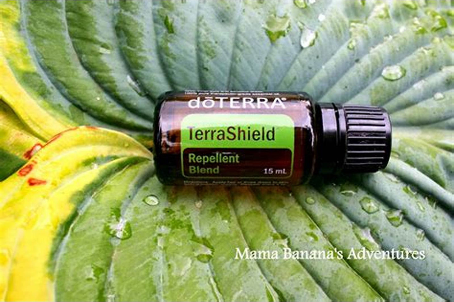 doTERRA TerraShield